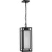 Unison Outdoor Hanging Lantern-Exterior-Progress Lighting-Lighting Design Store