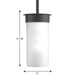 Hawthorne Hanging Lantern-Mini Pendants-Progress Lighting-Lighting Design Store