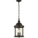 Ashmore Hanging Lantern-Exterior-Progress Lighting-Lighting Design Store