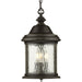 Ashmore Hanging Lantern-Exterior-Progress Lighting-Lighting Design Store