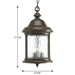 Ashmore Hanging Lantern-Exterior-Progress Lighting-Lighting Design Store