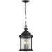 Ashmore Hanging Lantern-Exterior-Progress Lighting-Lighting Design Store