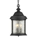 Ashmore Hanging Lantern-Exterior-Progress Lighting-Lighting Design Store