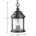 Ashmore Hanging Lantern-Exterior-Progress Lighting-Lighting Design Store