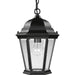 Welbourne Hanging Lantern-Exterior-Progress Lighting-Lighting Design Store
