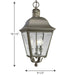 Andover Hanging Lantern-Exterior-Progress Lighting-Lighting Design Store