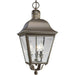 Andover Hanging Lantern-Exterior-Progress Lighting-Lighting Design Store