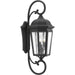 Verdae Large Wall Lantern-Exterior-Progress Lighting-Lighting Design Store