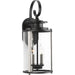 Squire Wall Lantern-Exterior-Progress Lighting-Lighting Design Store