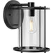 Gunther Outdoor Wall Lantern-Exterior-Progress Lighting-Lighting Design Store