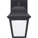 Die-Cast LED Lantern LED Wall Lantern-Exterior-Progress Lighting-Lighting Design Store
