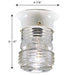 Utility Lantern Outdoor Flush Mount-Exterior-Progress Lighting-Lighting Design Store