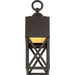 Birkdale Outdoor Wall Lantern-Exterior-Progress Lighting-Lighting Design Store