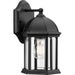 Dillard Outdoor Wall Lantern-Exterior-Progress Lighting-Lighting Design Store