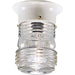 Utility Lantern Outdoor Flush Mount-Exterior-Progress Lighting-Lighting Design Store