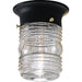 Utility Lantern Outdoor Flush Mount-Exterior-Progress Lighting-Lighting Design Store