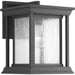 Endicott Wall Lantern-Exterior-Progress Lighting-Lighting Design Store