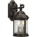 Ashmore Wall Lantern-Exterior-Progress Lighting-Lighting Design Store