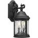 Ashmore Wall Lantern-Exterior-Progress Lighting-Lighting Design Store