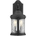 Ashmore Wall Lantern-Exterior-Progress Lighting-Lighting Design Store