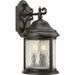 Ashmore Large Wall Lantern-Exterior-Progress Lighting-Lighting Design Store