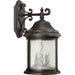 Ashmore Large Wall Lantern-Exterior-Progress Lighting-Lighting Design Store