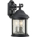 Ashmore Large Wall Lantern-Exterior-Progress Lighting-Lighting Design Store
