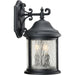 Ashmore Large Wall Lantern-Exterior-Progress Lighting-Lighting Design Store
