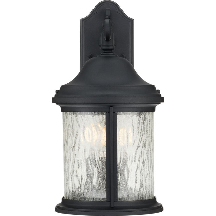 Ashmore Large Wall Lantern-Exterior-Progress Lighting-Lighting Design Store