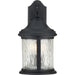 Ashmore Large Wall Lantern-Exterior-Progress Lighting-Lighting Design Store