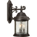 Ashmore Large Wall Lantern-Exterior-Progress Lighting-Lighting Design Store