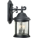 Ashmore Large Wall Lantern-Exterior-Progress Lighting-Lighting Design Store