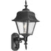 One Light Wall Lantern-Exterior-Progress Lighting-Lighting Design Store