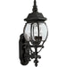 Onion Lantern Large Wall Lantern-Exterior-Progress Lighting-Lighting Design Store