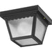 Ceiling Mount Outdoor Flush Mount-Exterior-Progress Lighting-Lighting Design Store