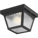 Ceiling Mount Outdoor Flush Mount-Exterior-Progress Lighting-Lighting Design Store