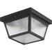Ceiling Mount Outdoor Flush Mount-Exterior-Progress Lighting-Lighting Design Store