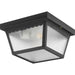 Ceiling Mount Outdoor Flush Mount-Exterior-Progress Lighting-Lighting Design Store