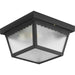 Ceiling Mount Outdoor Flush Mount-Exterior-Progress Lighting-Lighting Design Store