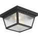 Ceiling Mount Outdoor Flush Mount-Exterior-Progress Lighting-Lighting Design Store