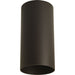 Cylinder Outdoor Ceiling Mount-Exterior-Progress Lighting-Lighting Design Store