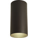Cylinder Outdoor Ceiling Mount-Exterior-Progress Lighting-Lighting Design Store