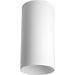 Cylinder Outdoor Ceiling Mount-Exterior-Progress Lighting-Lighting Design Store