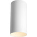 Cylinder Outdoor Ceiling Mount-Exterior-Progress Lighting-Lighting Design Store