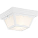 Ceiling Mount Outdoor Flush Mount-Utility-Progress Lighting-Lighting Design Store