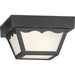 Ceiling Mount Outdoor Flush Mount-Utility-Progress Lighting-Lighting Design Store