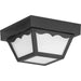 Ceiling Mount Outdoor Flush Mount-Utility-Progress Lighting-Lighting Design Store