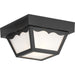 Ceiling Mount Outdoor Flush Mount-Utility-Progress Lighting-Lighting Design Store