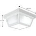 Ceiling Mount Outdoor Flush Mount-Exterior-Progress Lighting-Lighting Design Store