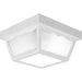 Ceiling Mount Outdoor Flush Mount-Exterior-Progress Lighting-Lighting Design Store